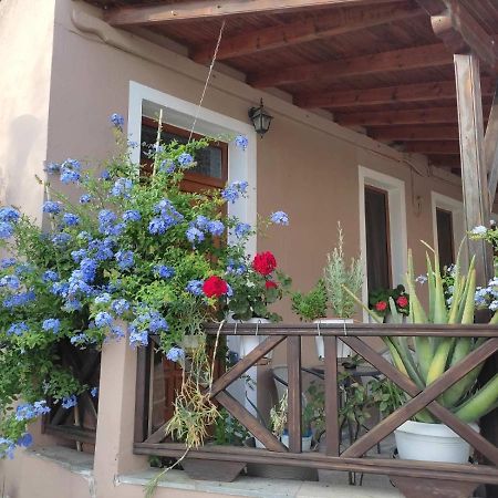 Plumbago Apartment Theologos  المظهر الخارجي الصورة