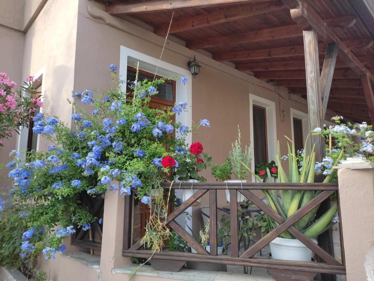 Plumbago Apartment Theologos  المظهر الخارجي الصورة